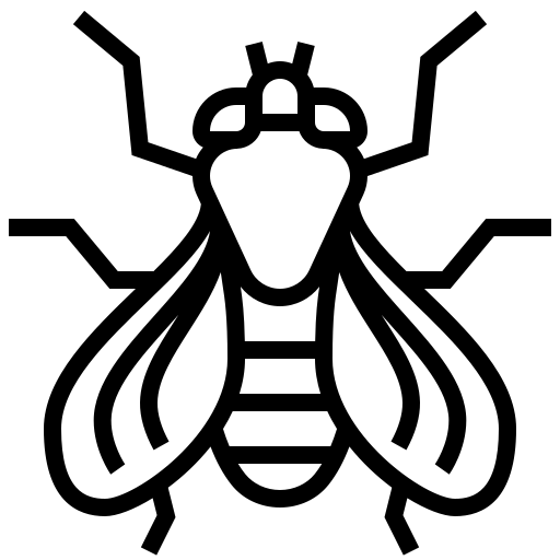 fliegen.png