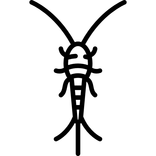 silberfisch-1.png